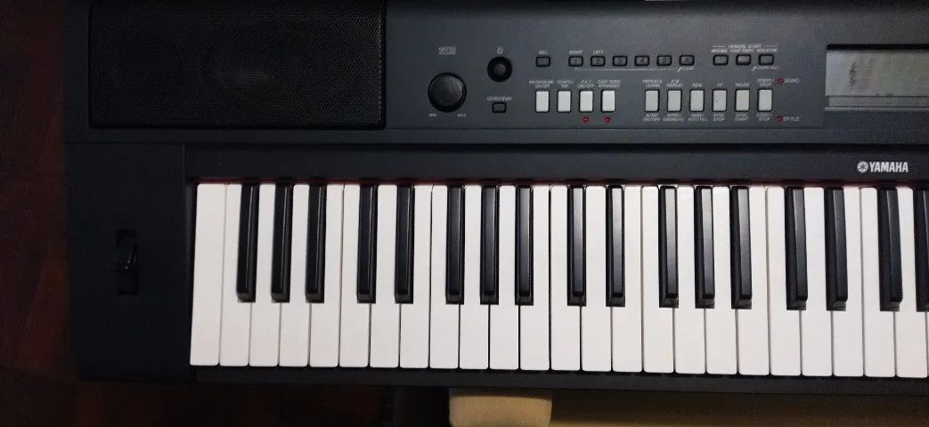 Piano Digital e arranjador Yamaha Piaggero NP V60 76 teclas. Leia