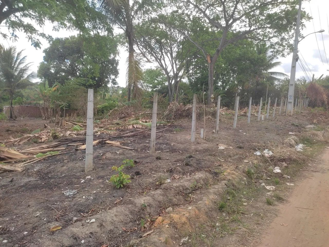 Foto - Paulista - Maranguape II