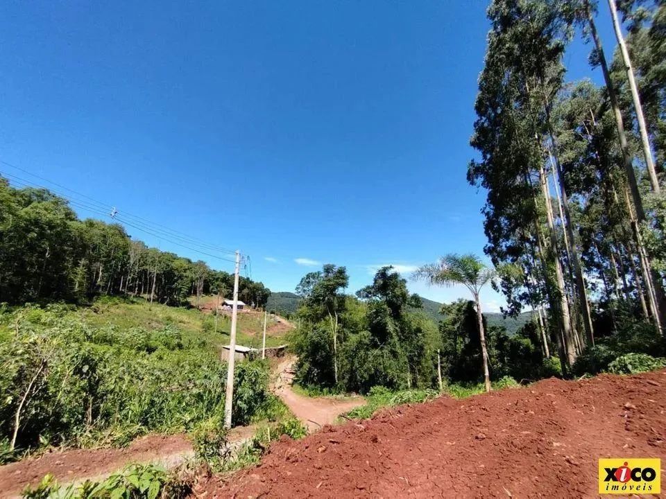 Sítio / Chácara para Venda em Nova Petrópolis, Linha Olinda - Foto 4