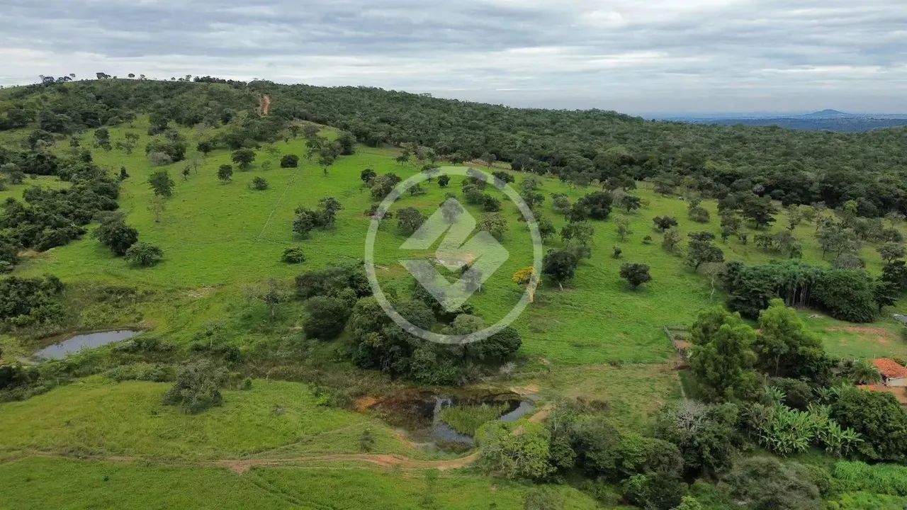 Caldazinha - Fazenda com 40 Alqueires codigo: 118399 - Foto 3