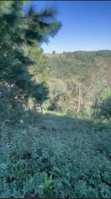 Terreno à venda, BATEIAS , CAMPO LARGO DA ROSEI - PR