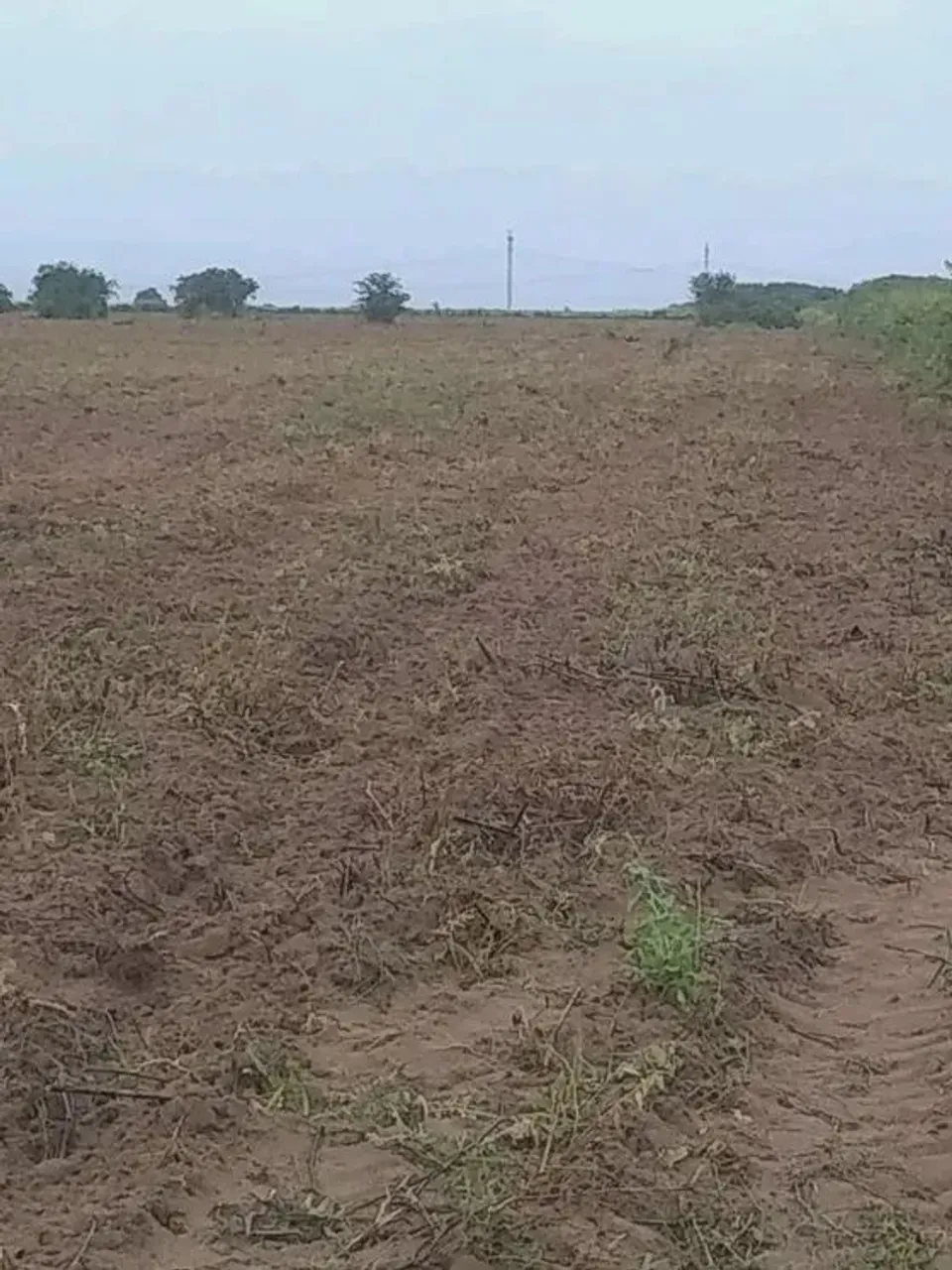 Granja com 13.5 hectares na região de Monte Alegre