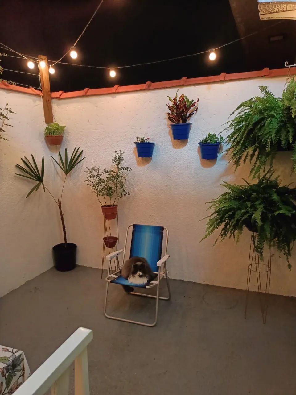 Studio Garden, com pátio privativo. Mobiliado! - Foto 2