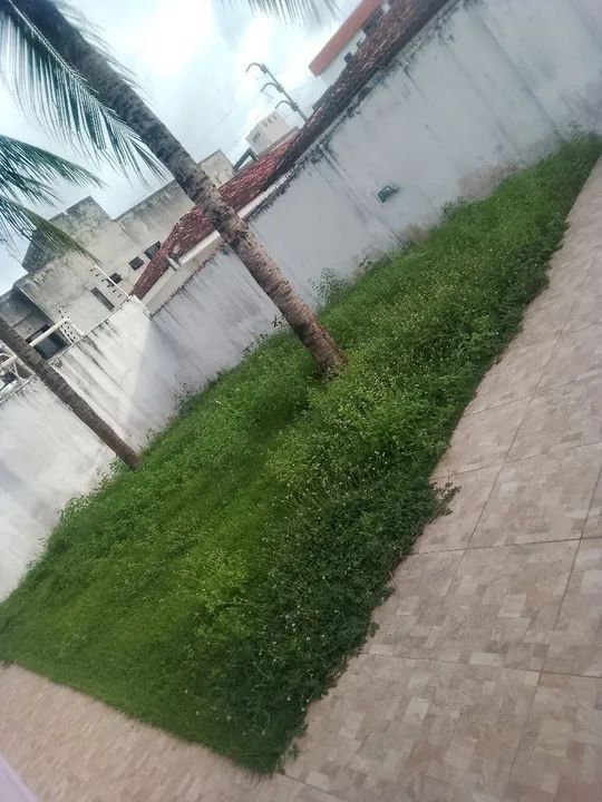 Limpeza Na Roçadeira  - Foto 3