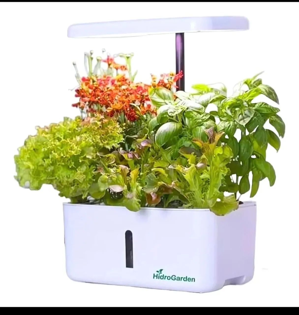 Kit orta inteligente + sementes com alto irrigação e iluminação led 