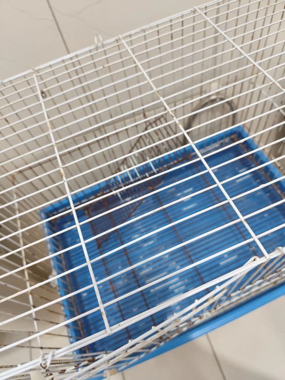 Vendo gaiola para porquinho da índia, ratos ou coelho. - Foto 3