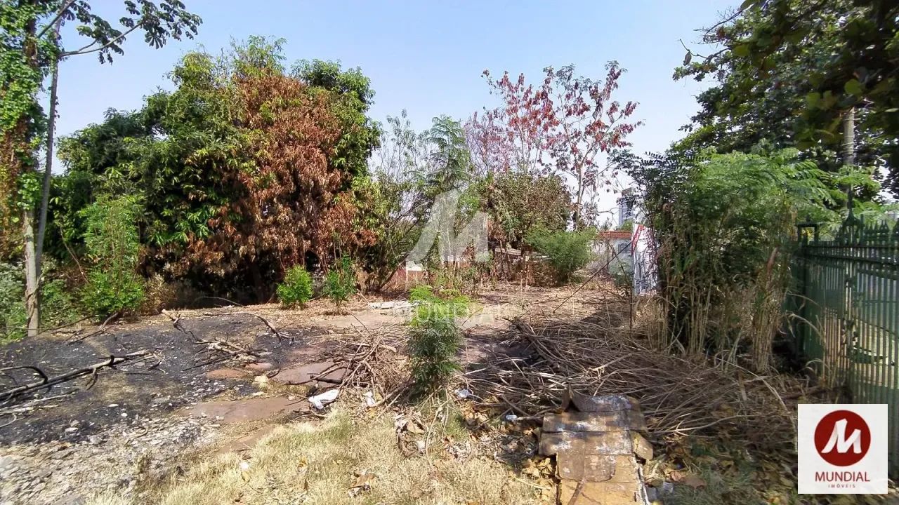 Terreno (terreno normal) - Foto 2