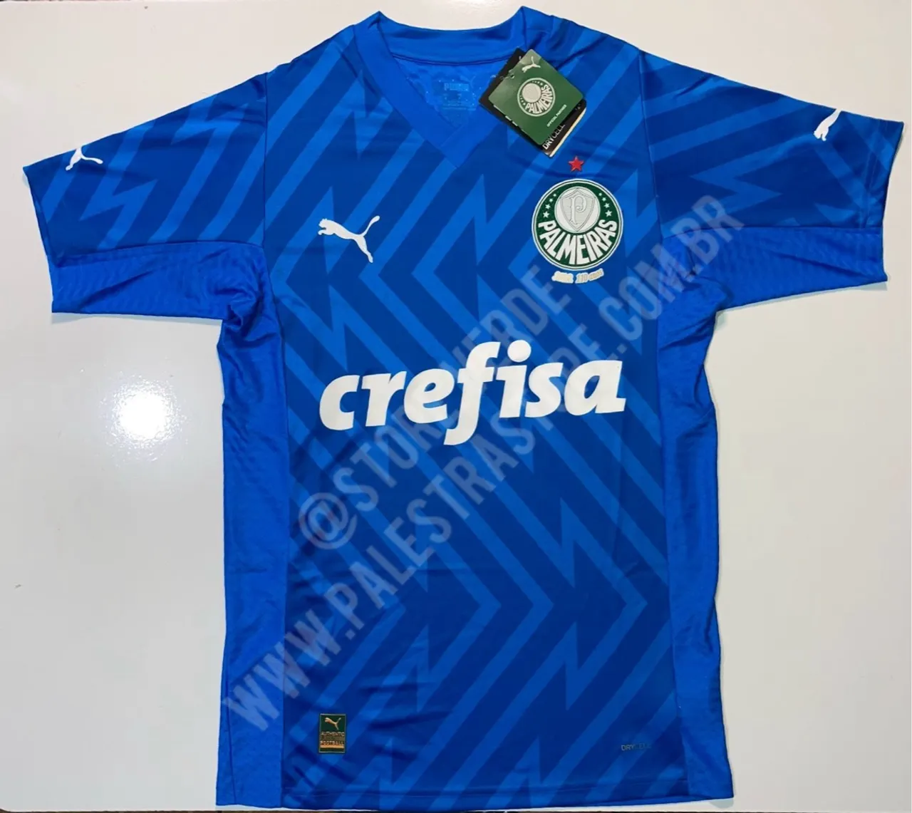 CAMISA I PALMEIRAS GOLEIRO PUMA 2024 - JOGADOR