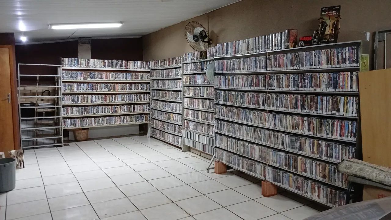 Para os amantes de filmes. Acervo de Locadora  - Foto 2