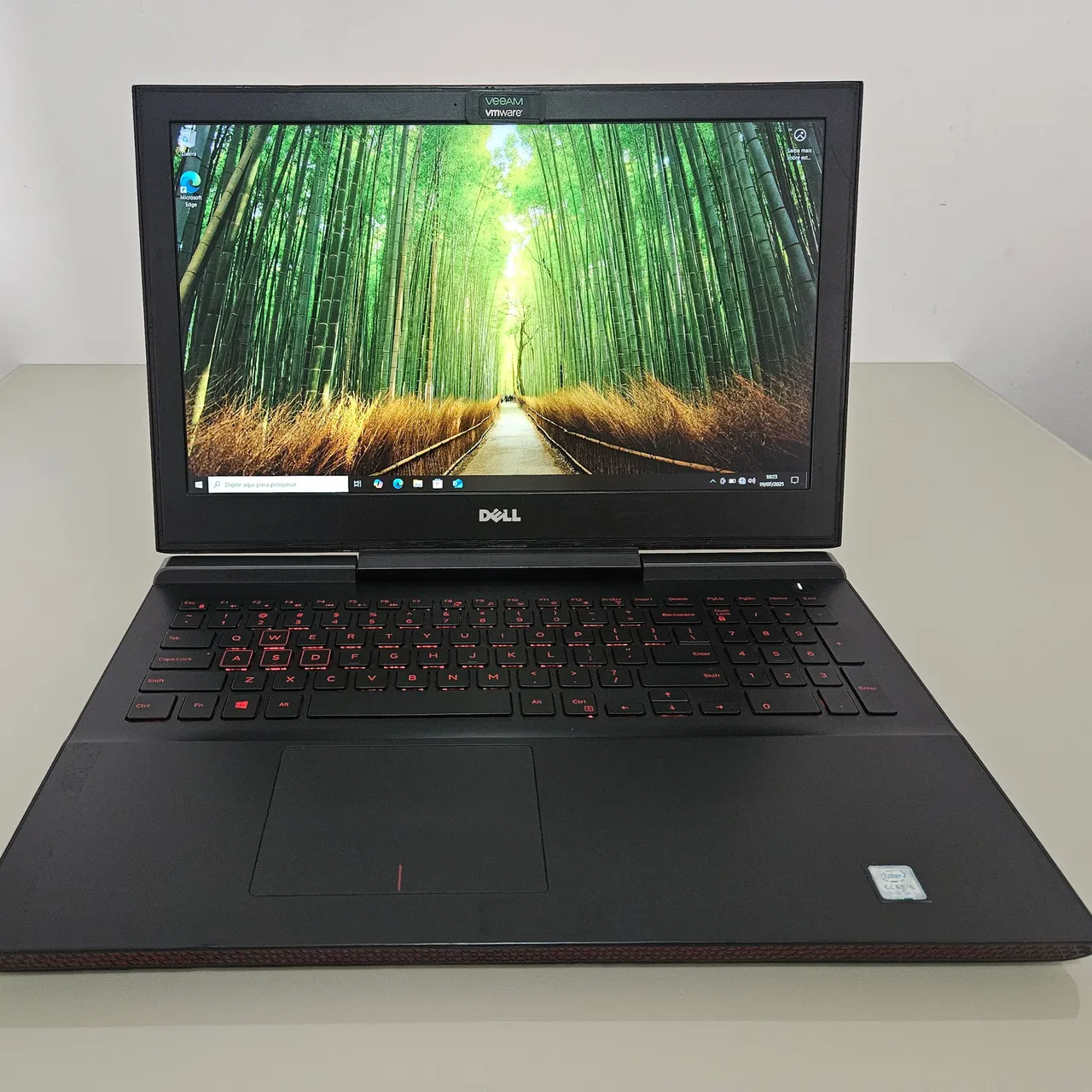 Notebook Gamer Dell Inspiron 15 - Modelo P65F (P65F001)<br>