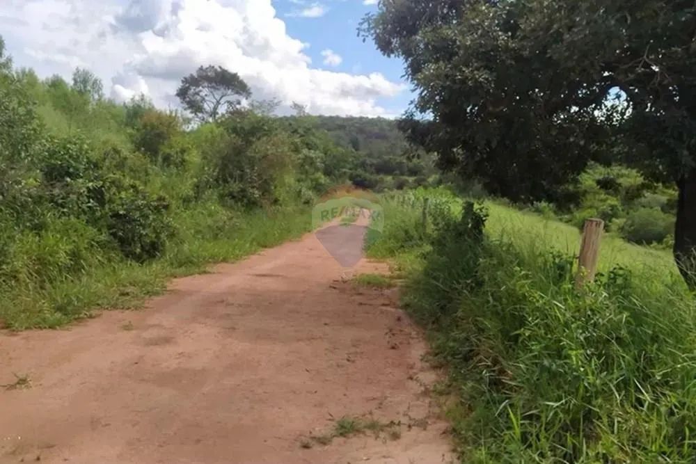 Chácaras de 10.000m em Alto Maranhão, Congonhas ! - Foto 4