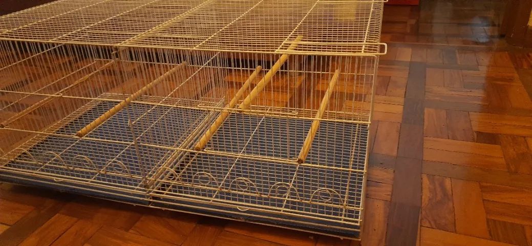 Gaiola Voadeira Com Divisória Grande Branca - Foto 6