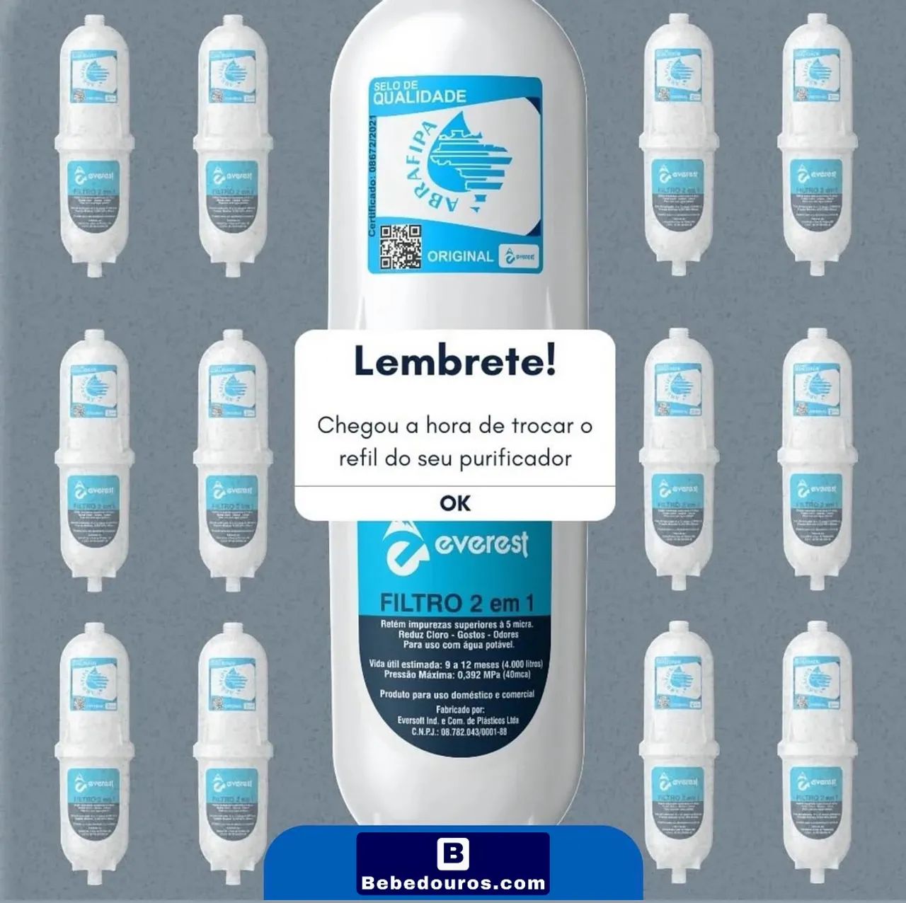 Refil filtro de água Everest para purificador - Foto 3