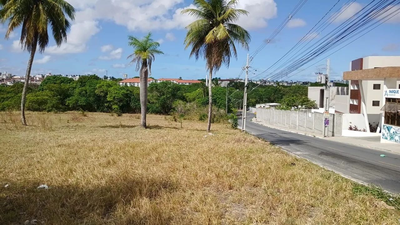 Terreno comercial Geisel  - Foto 3