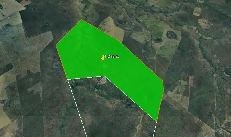 Fazenda em Parnagua-PI 