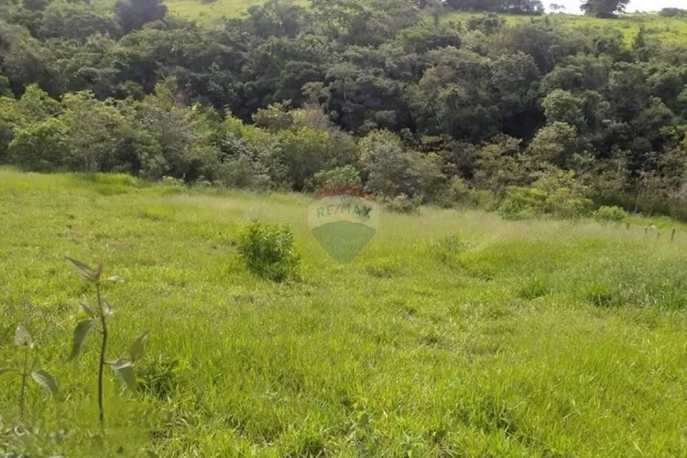 Chácaras de 10.000m em Alto Maranhão, Congonhas ! - Foto 5