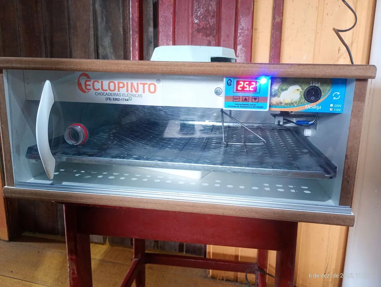 Chocadeira eclopinto - Foto 2