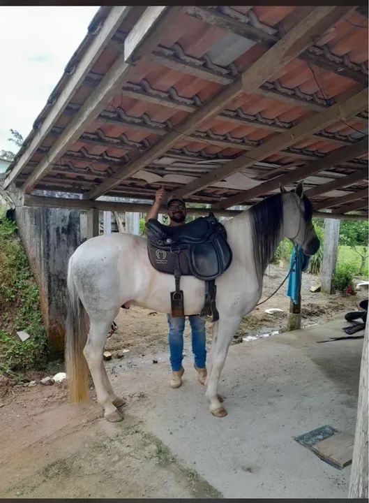 Manga-larga/ Picada  - Foto 2