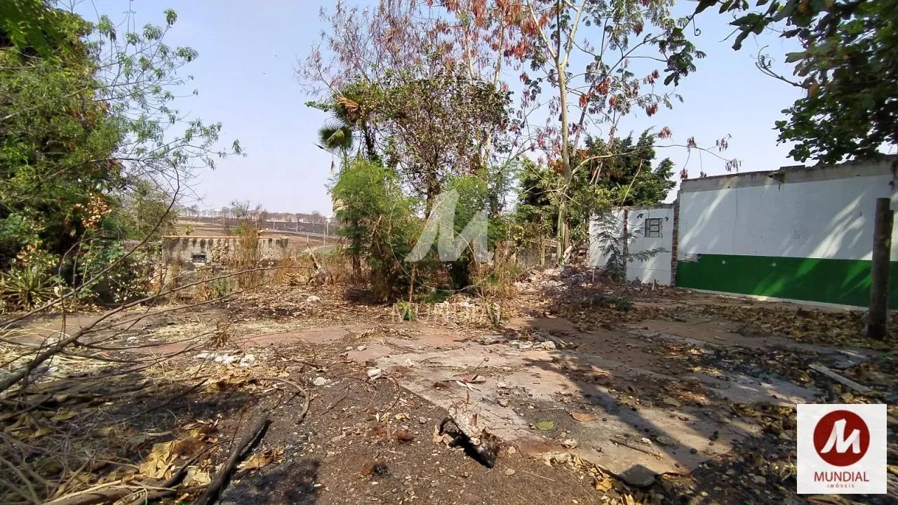 Terreno (terreno normal) - Foto 5