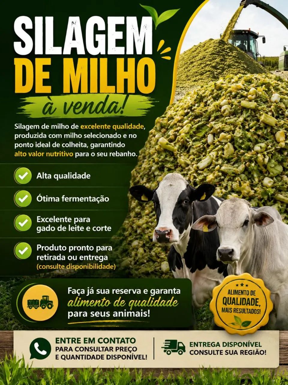 Silagem de Milho 
