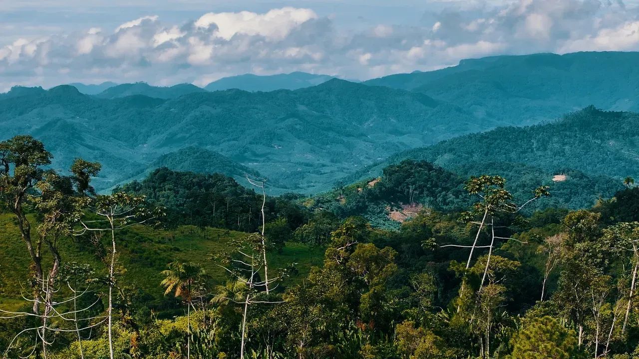 Chácara à venda na Serra de Corupá!