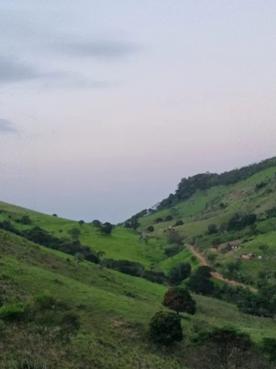 Fazenda À Venda em Atalaia - Foto 5