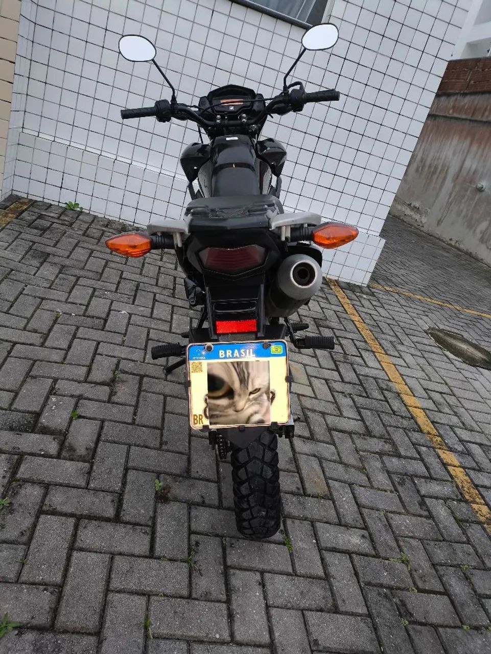 Bros 2016 - Extra - Foto 2