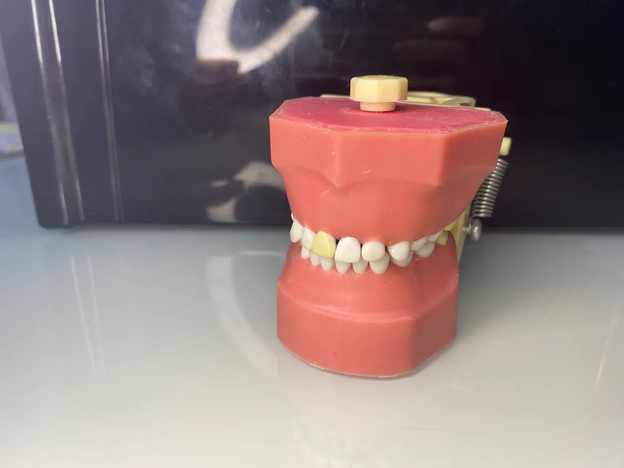 Manequim Odontopediatria  - Foto 2