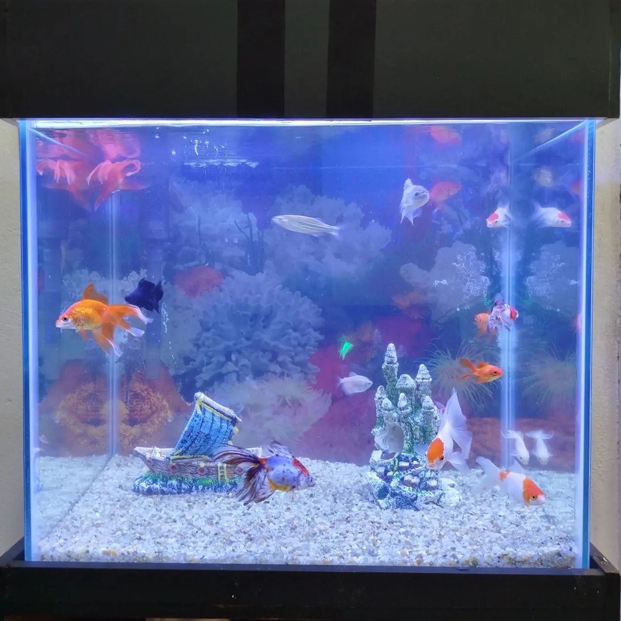 Aquário 120 litros semi novo  - Foto 2