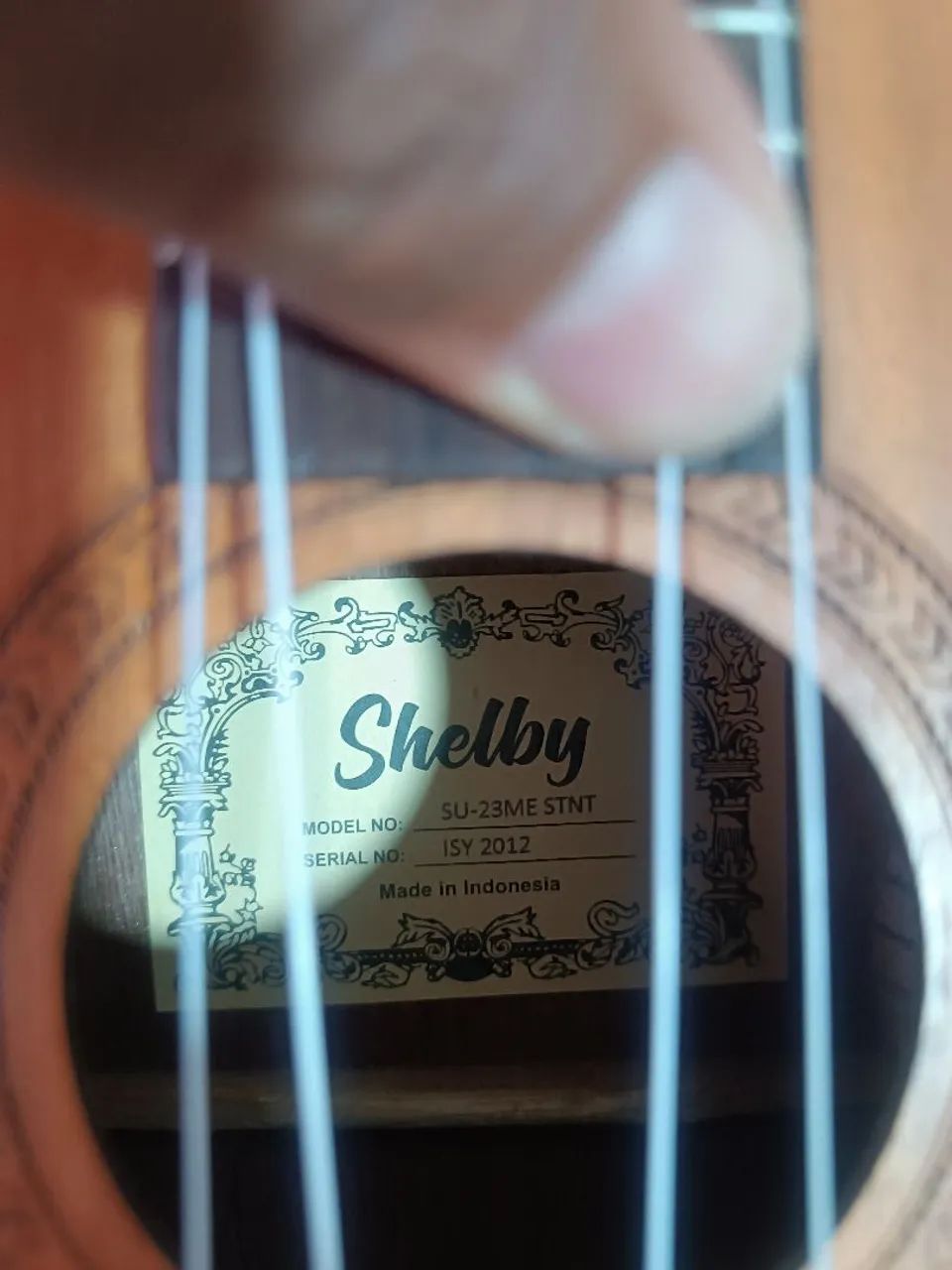 Ukulele Shelby Concert