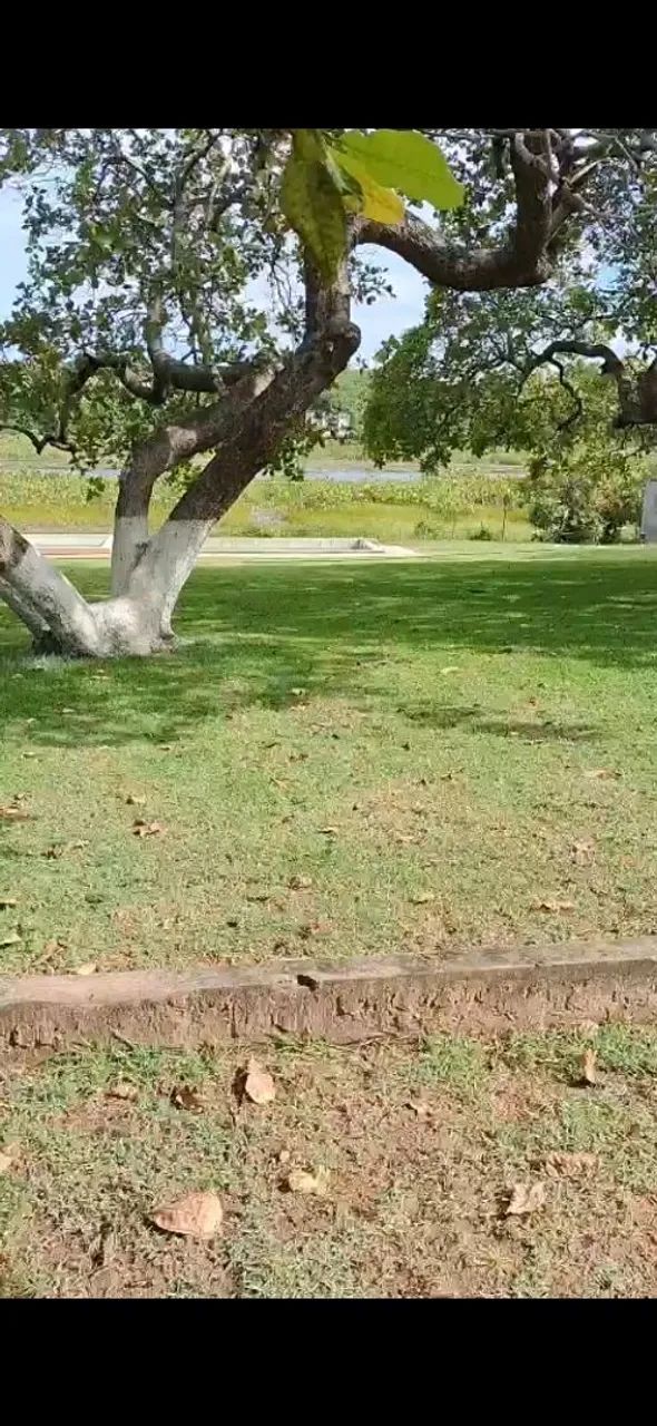 Granja à venda em Extremoz/RN - Foto 3