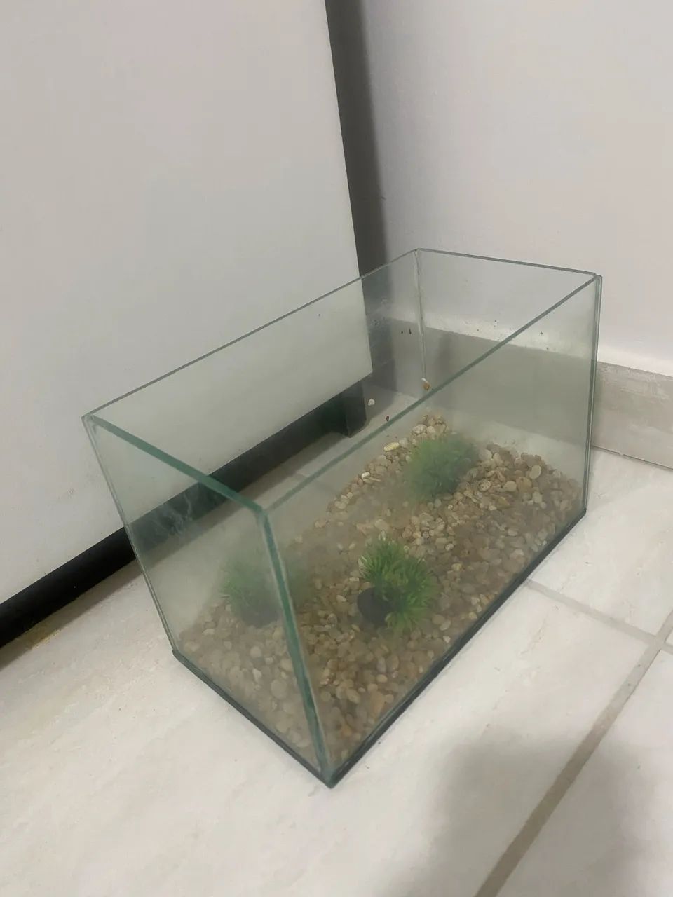 AQUARIO - Foto 2