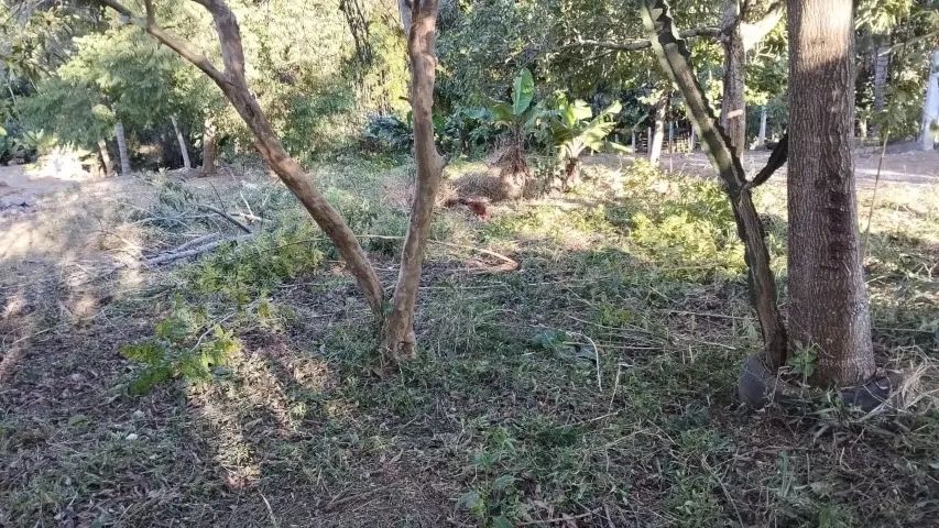 Terreno 500 metros - Foto 3
