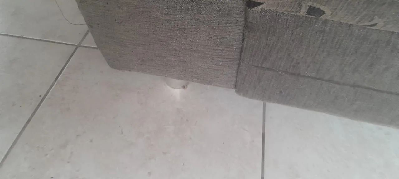 2 sofás / poltronas - Foto 4