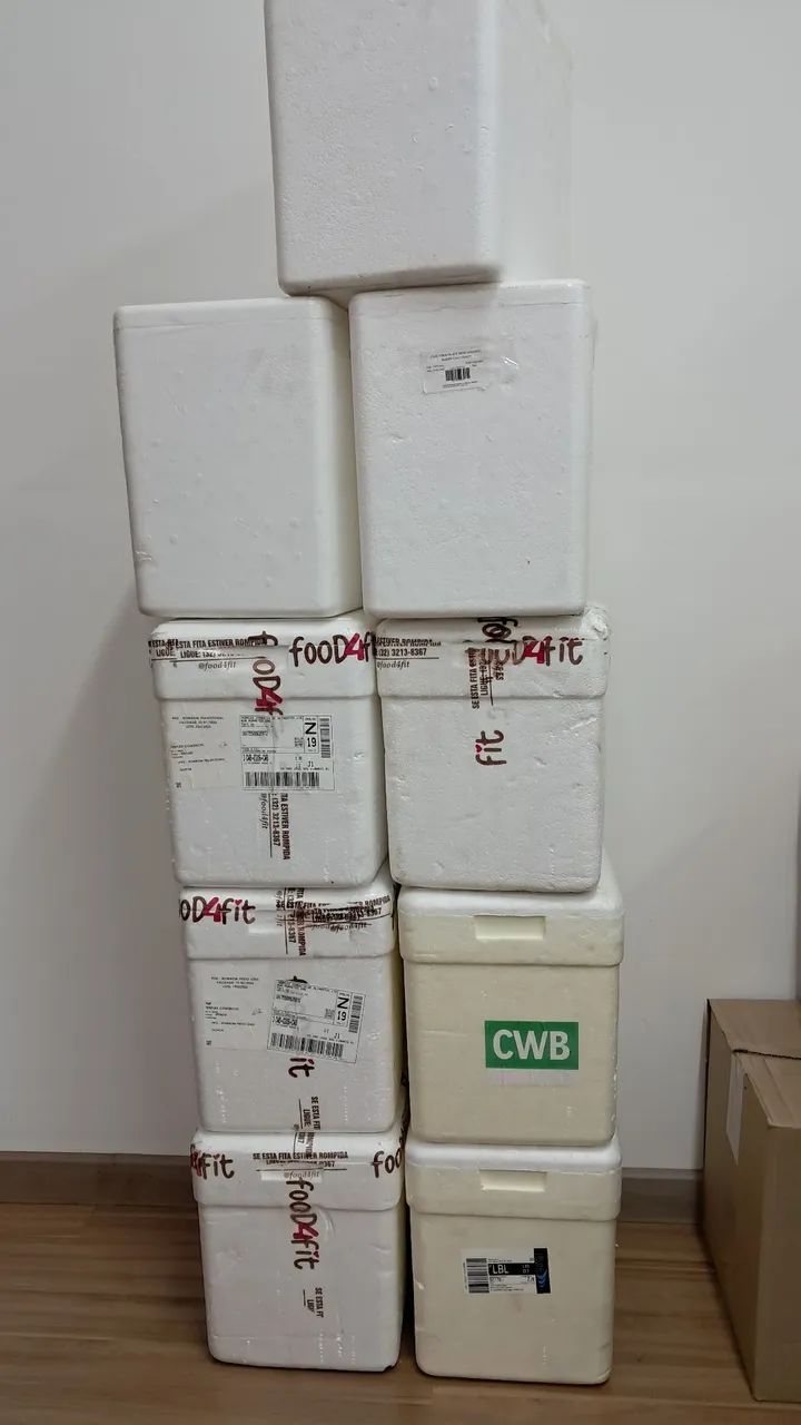 Caixa de isopor 13l
