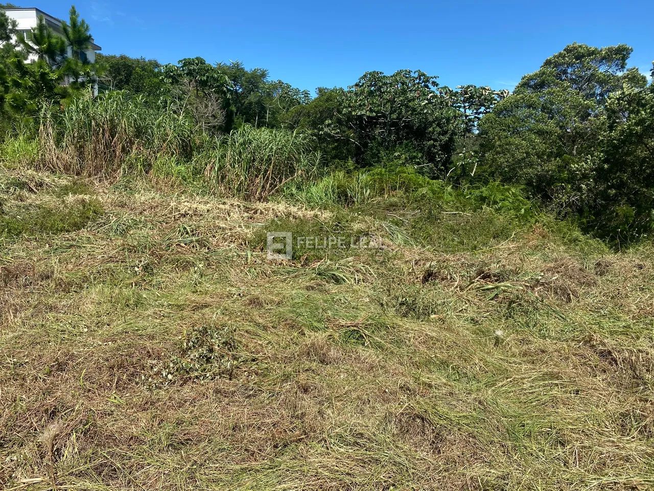 Lote / Terreno em Roçado - São José, SC - Foto 5