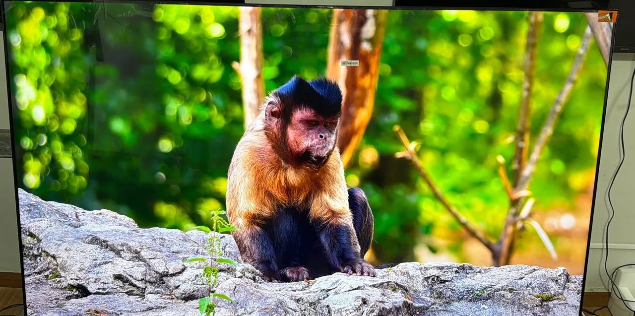 Tv 75 TCL 4K Google Tv  - Foto 2