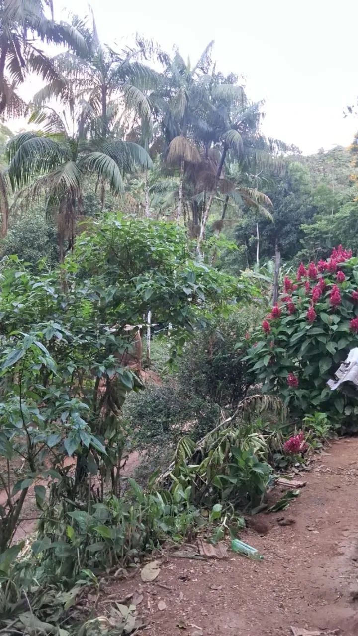 Foto - Miracatu - 