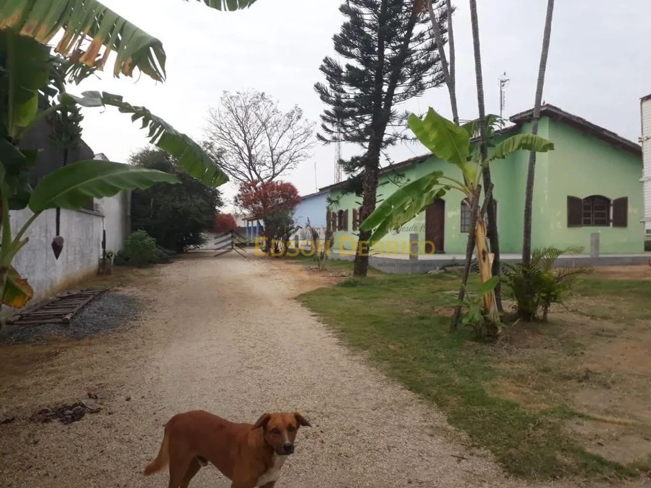 Casa com 6 Quartos à Venda, Jardim Princesa - Pindamonhangaba - Foto 2