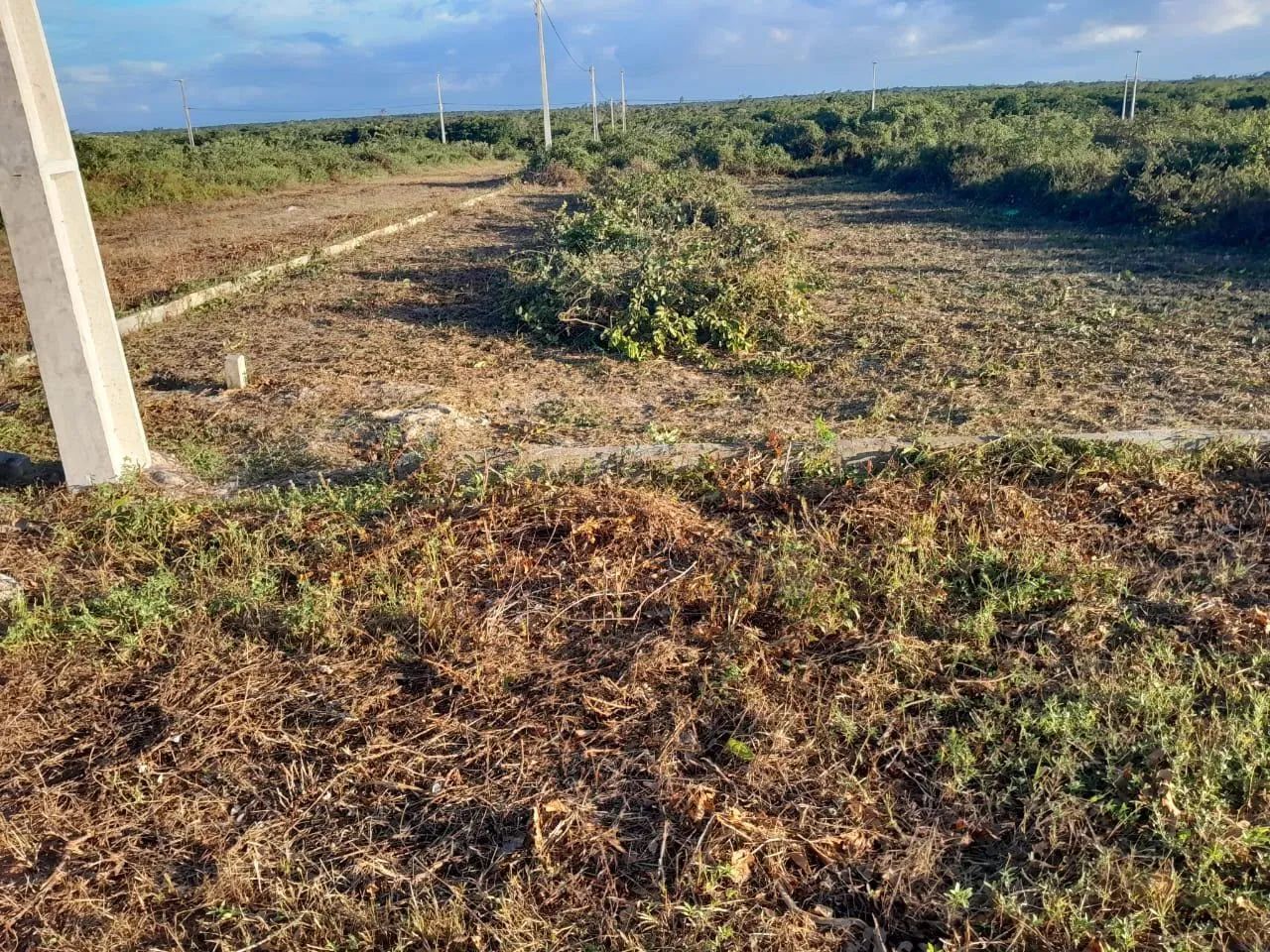 Terreno em Paracuru (troca por carro) - Foto 2