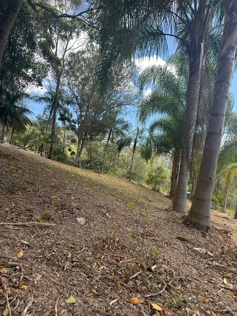 Terreno ideal para construir seu chalé! Bem localizado A. Mornas - Foto 4