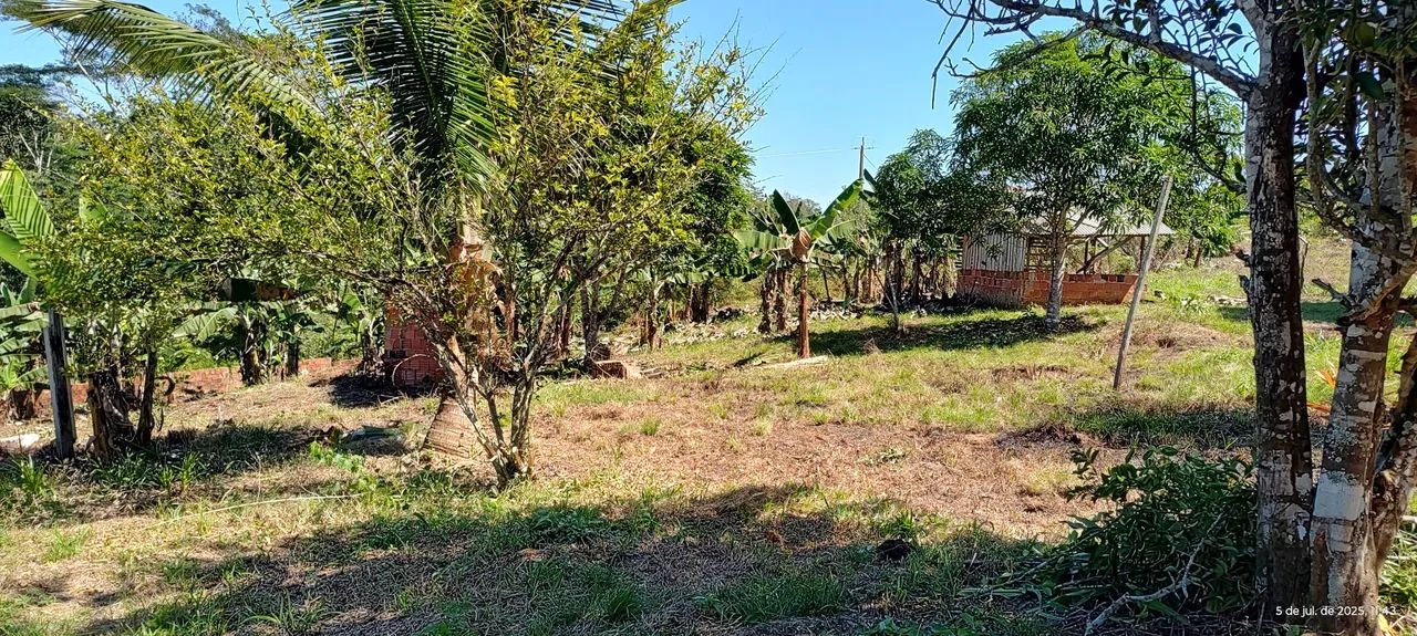 Vende-se essa Chácara - Foto 2