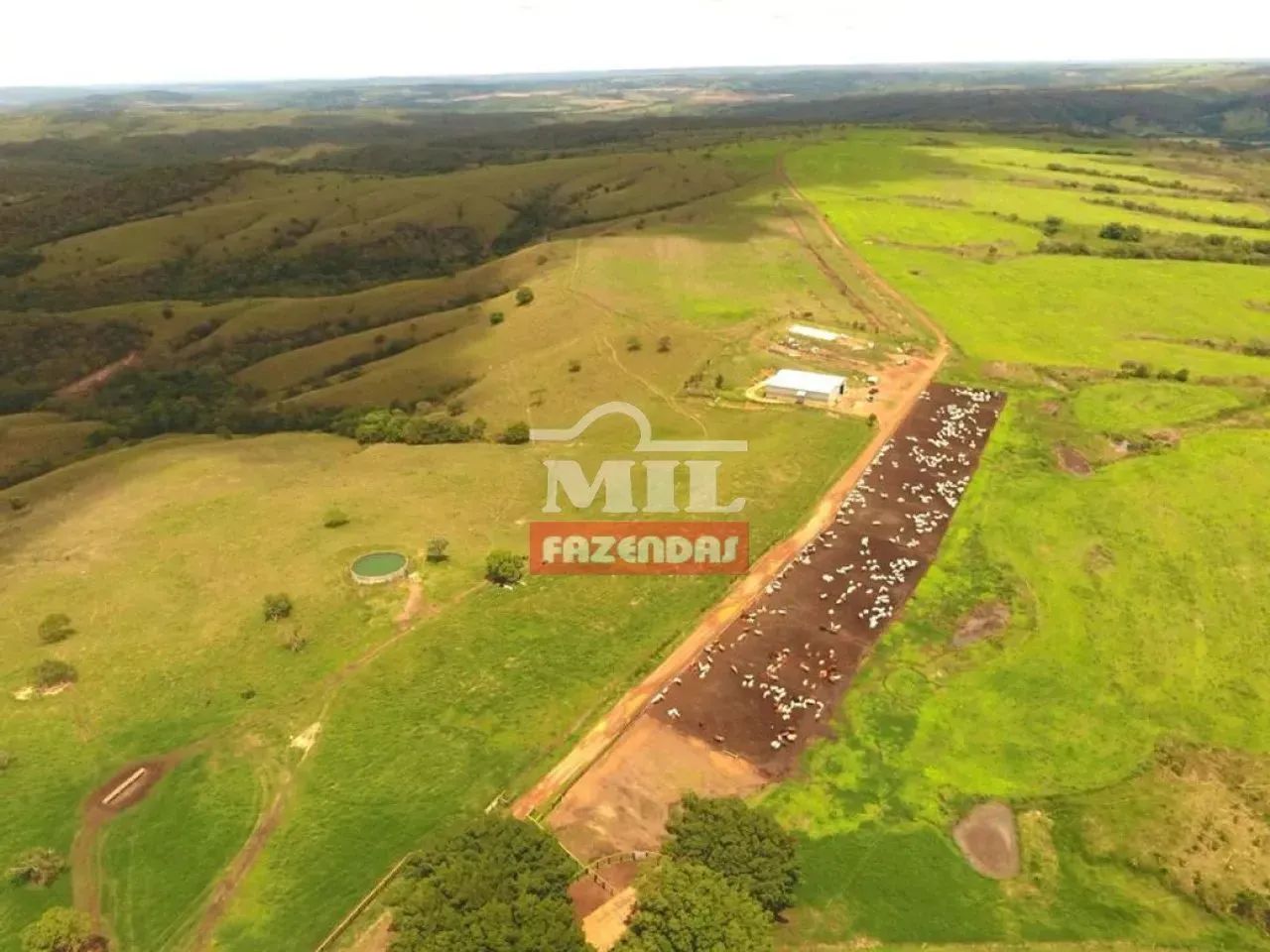 Fazenda 430 Alqueires (2.081 hectares) Ipameri - GO