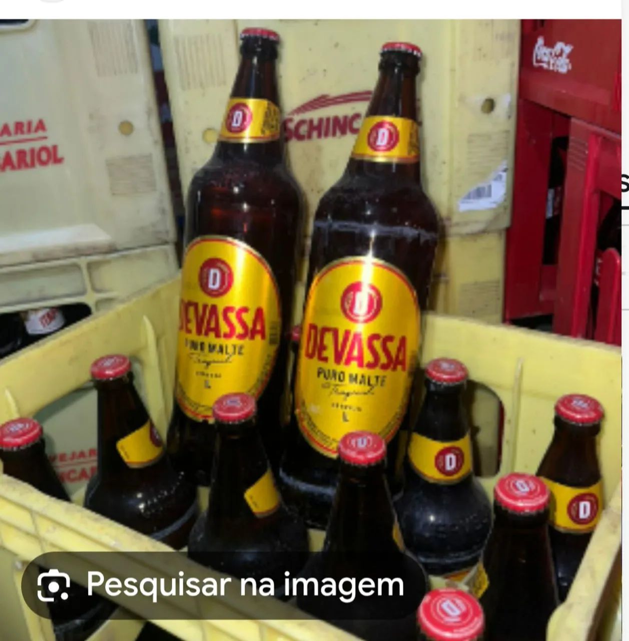 Vasilhame de litrão devassa