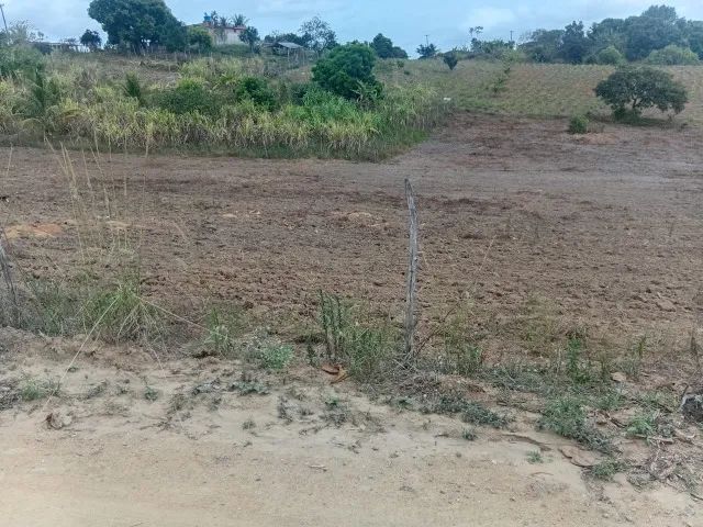 SITIO  ( OURICURI ) - FAZENDA SAO PEDRO * - Foto 2
