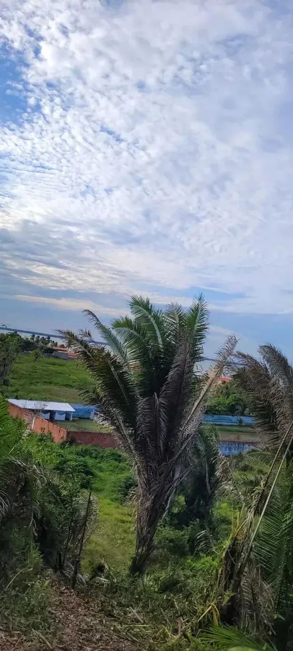 PRAIA DE PANAQUATIRA: Terreno à venda vista mar  Grande Ilha de São Luís. - Foto 2