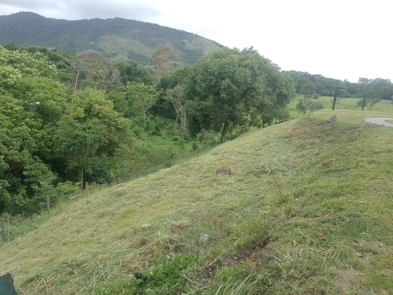 Serviços cm roçadeira  - Foto 2