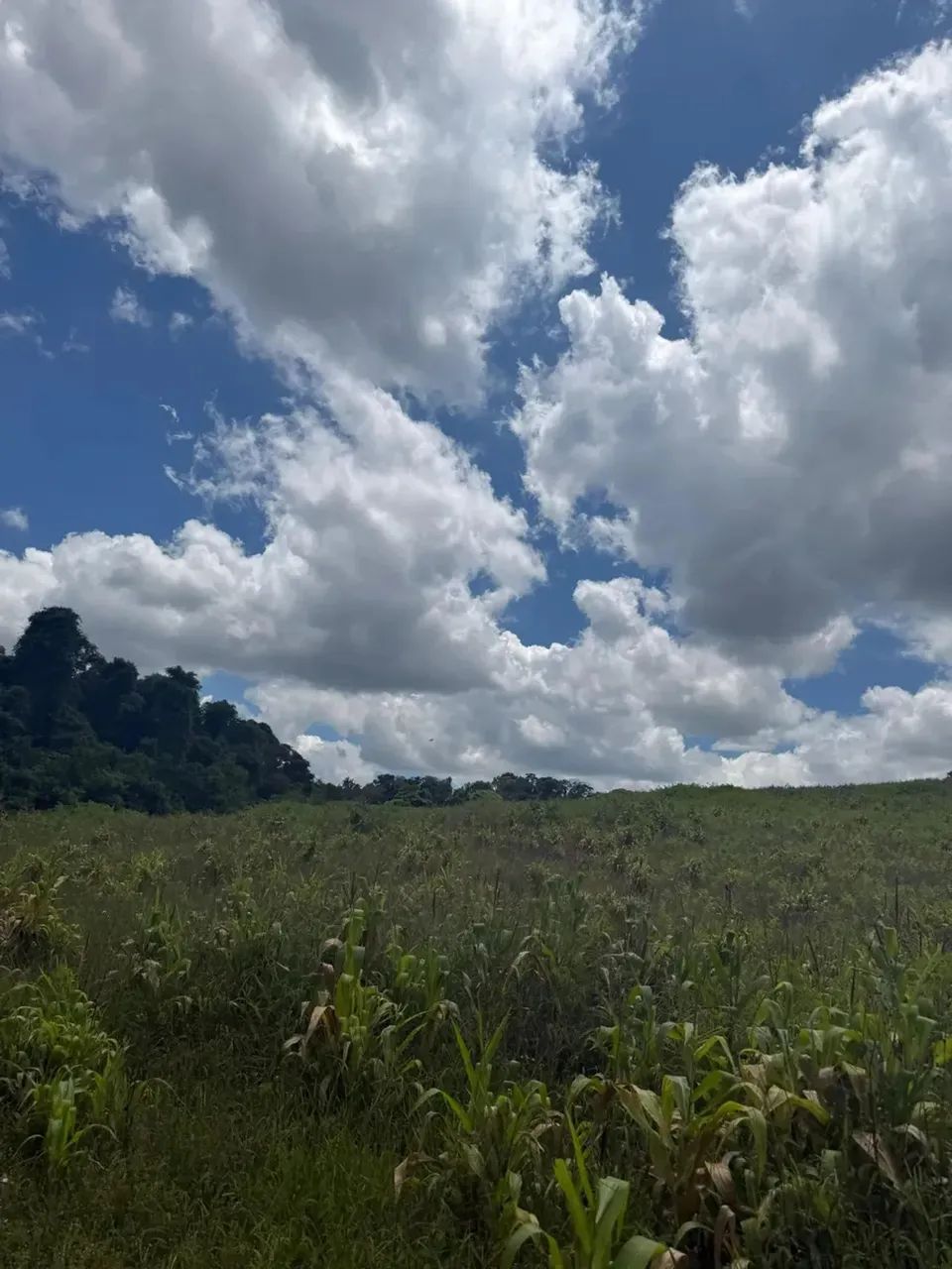 Lotes para venda possui 1000 metros quadrados em Colégio - Ibiúna - SP - Foto 2