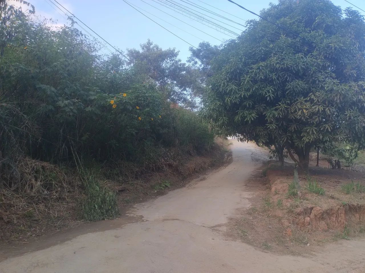 Excelente Terreno No Extensão Serramar  - Foto 4