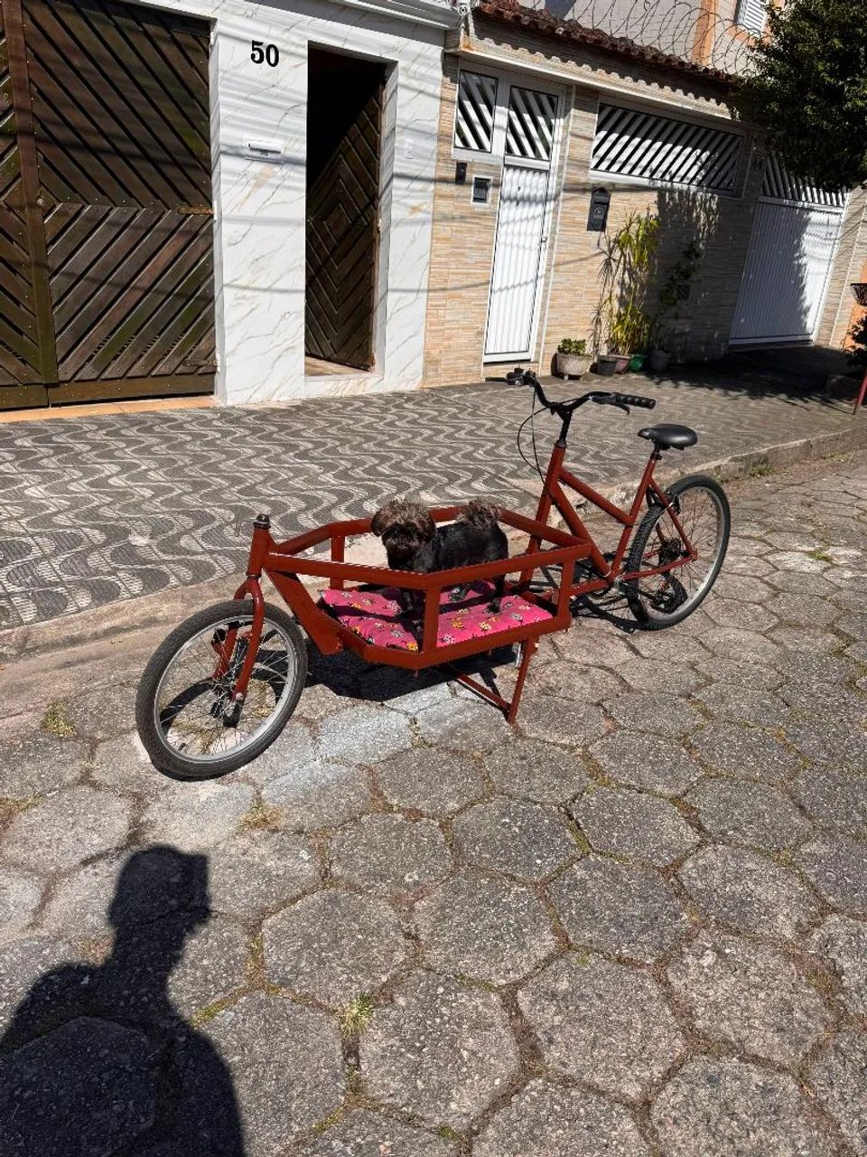 Bicicleta de carga estilo EUROPA  - Foto 2